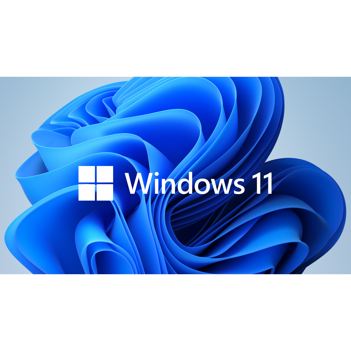 Windows 11