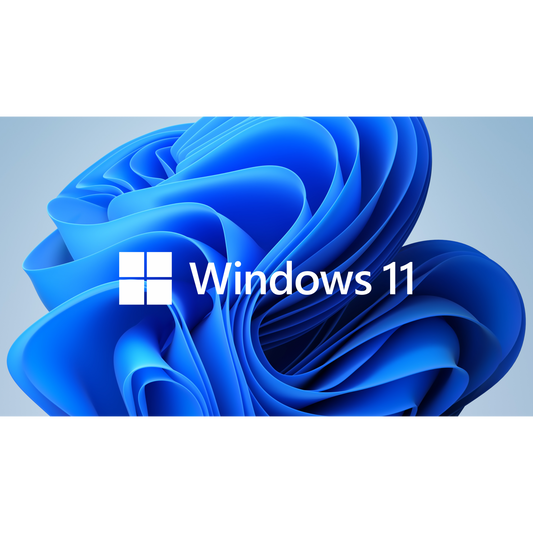Windows 11
